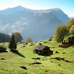 Apartment Chalet am Reeti